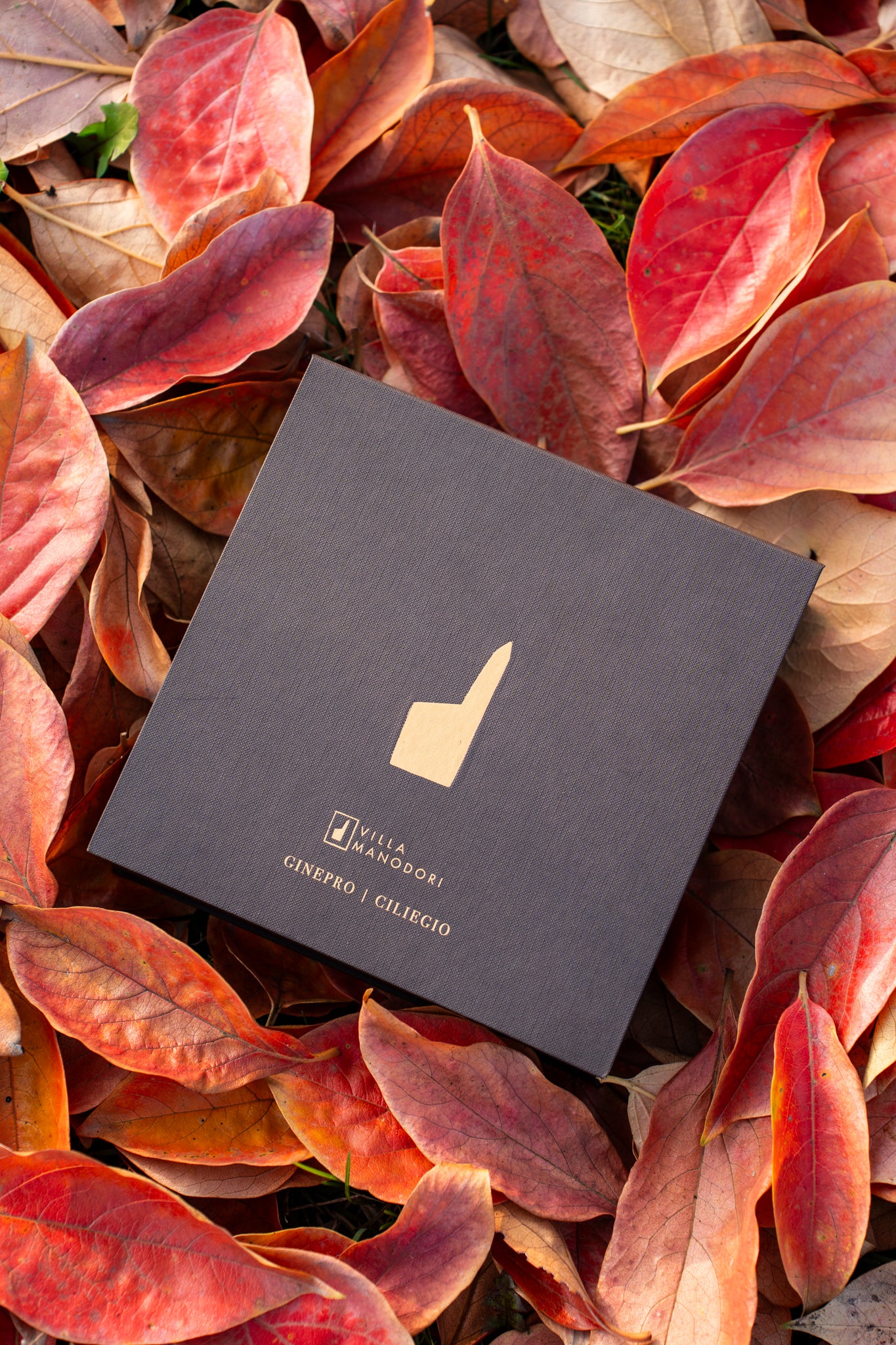 Cru Vinegars Bundle